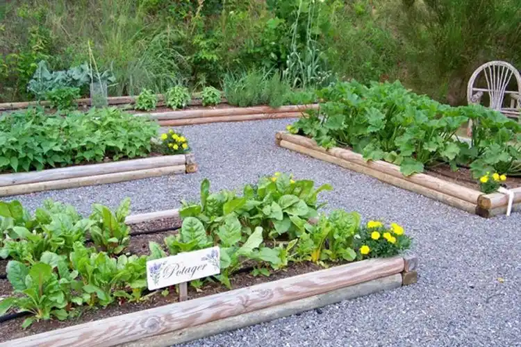 郑州庭院设计——菜园篇