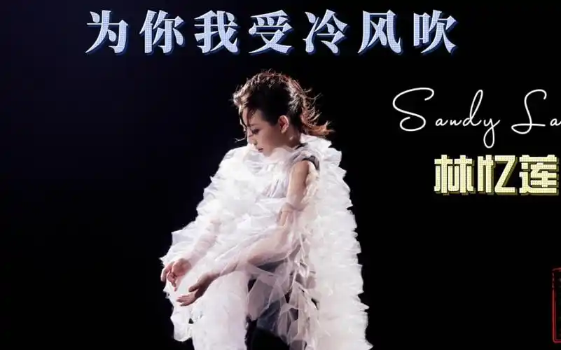 【经典金曲】为你我受冷风吹-林忆莲