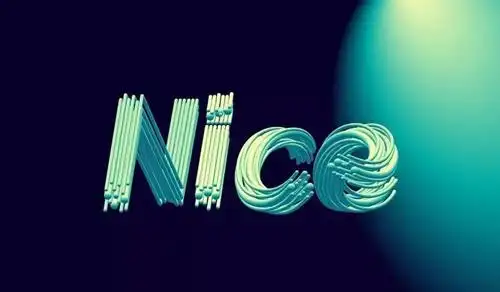 nice是什么中文意思,奈斯英文nice什么意思-第1张图片-索考网