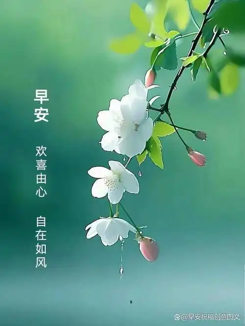 5.8周三早上好祝福文案,14句早安暖心问候语,愿生活美满