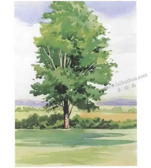 白杨树水彩画法步骤图示06
