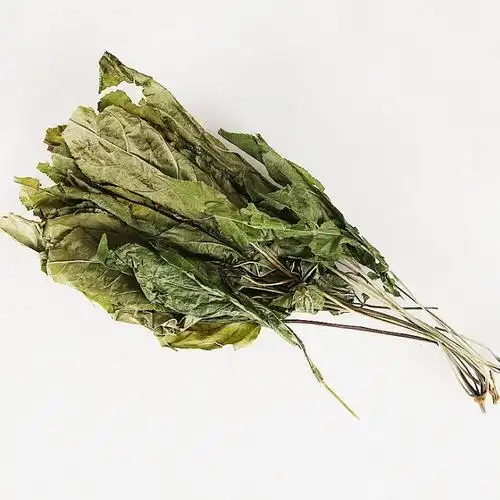 人参叶 人参叶 中材 新货人参叶 长白山人参叶 100克 【250g】纯青货