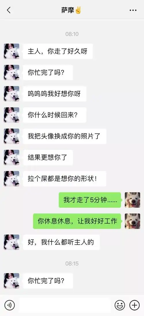 笑屎了这些狗狗的聊天记录让人大开眼界