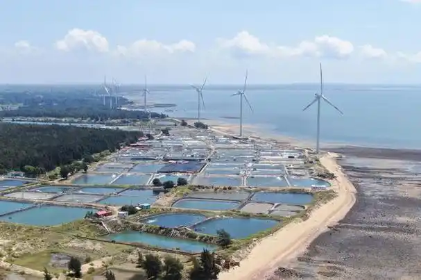 "南极村"位于广东省湛江市徐闻县角尾乡,地处我国大陆最南端,被琼州