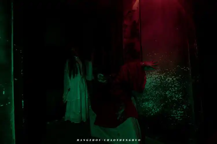 宅里发霉腐朽的味道在鼻尖萦绕还记得在那间屋子里被女鬼支配的恐惧吗