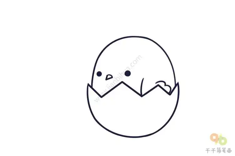 蛋壳小鸡简笔画图片