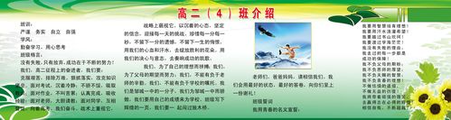 海报印制431设计展板素材587班级介绍1定制