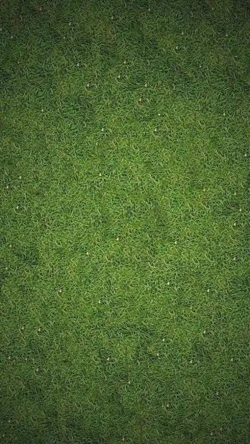 562_998竖版 竖屏