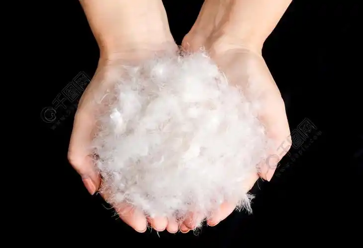 蓬松的羽绒高清实拍素材