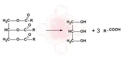 展开全部 饱和脂肪酸甘油酯的水解反应,如图.