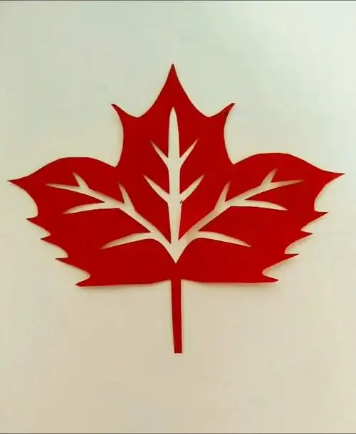 剪纸叶子_小红书