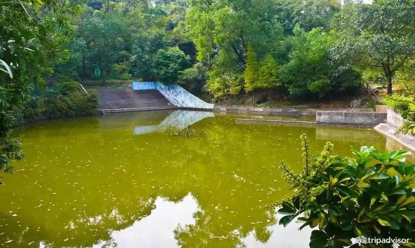 澳门石排湾郊野公园旅游攻略,石排湾郊野公园景点地图,全球游客点评
