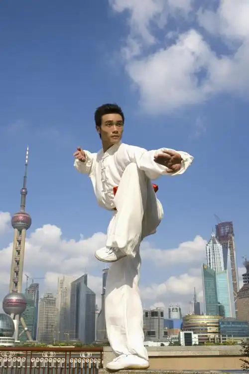 武术功夫图片第51张