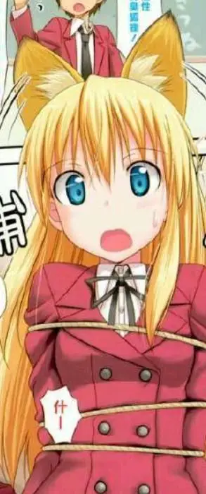 这是什么动漫来的