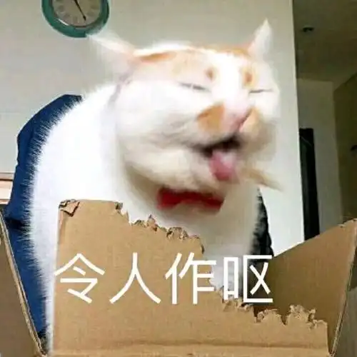 令人作呕(猫咪)