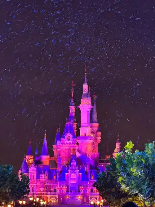 上海迪士尼##上海迪士尼攻略