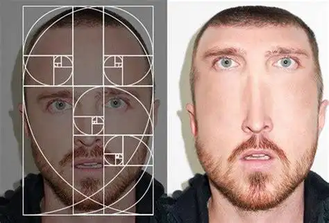 黄金比例脸黄金比例脸p图模板2022已更新今日更新