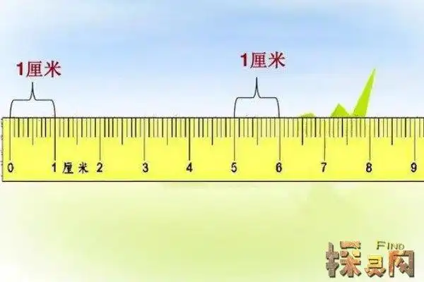 2尺8是多少厘米记做9933厘米古人以身体为参照进行度量