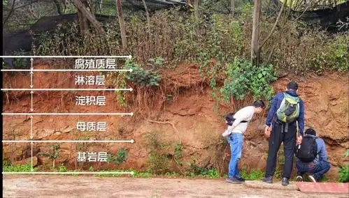 土壤分层(图源自昆八中张力老师)