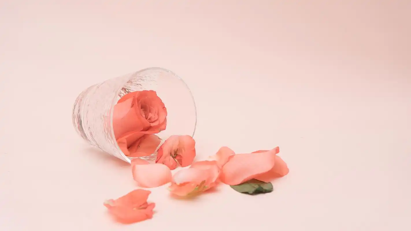 创意玫瑰花瓣摄影高清宽屏壁纸