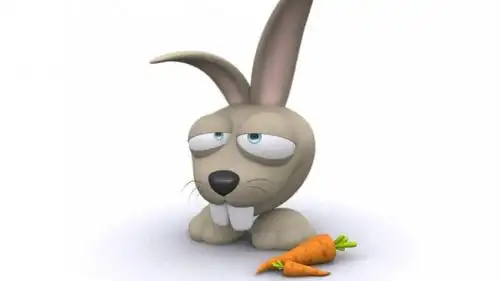 夸张表情3d卡通动物