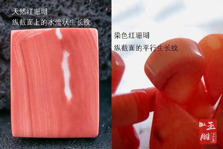 真假红珊瑚鉴别图让你轻松学会辨真假