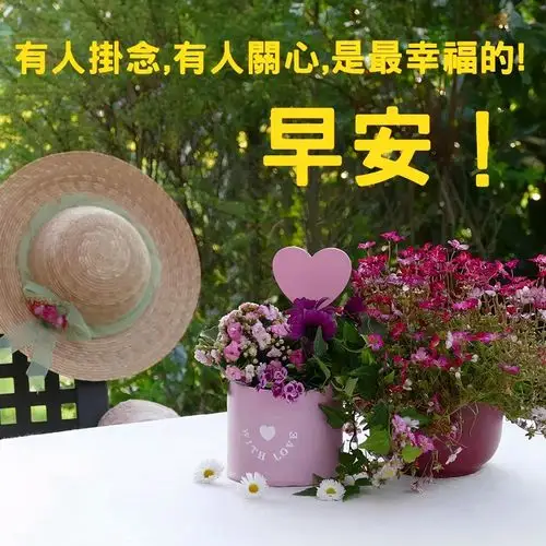 原创简单暖心的早安问候语录 充满阳光的早上好祝福图片