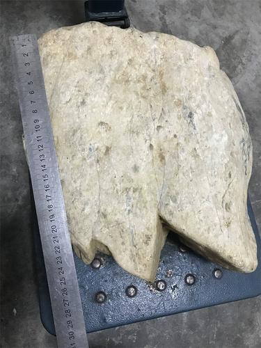 缅甸翡翠原石21kg老木那种水料手镯位老坑定制玉石皮壳紧实带癣