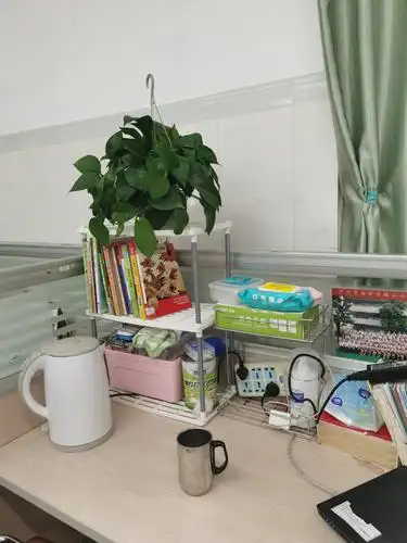 绿化美化文化------握山小学教师办公室评比活动