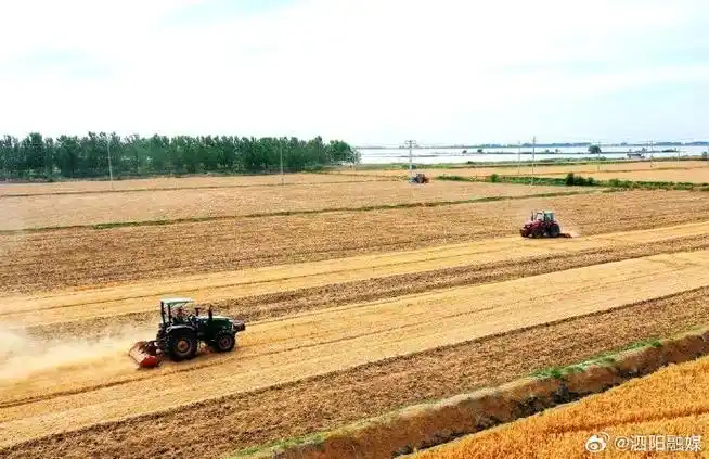 在泗阳县卢集镇高渡村,拖拉机在田间犁地准备大豆播种工作,田间地头