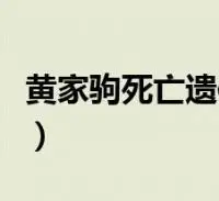 黄家驹死亡遗体照片高清(黄家驹死亡遗体照)
