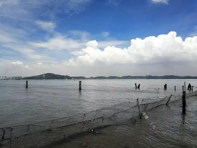 南沙滨海公园广州南沙海滩怎么去