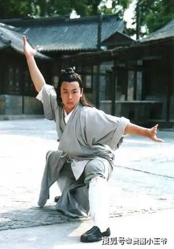 寺出来的明星,个个武术高超,最后一位居然是女生_王宝强_释小龙_王智