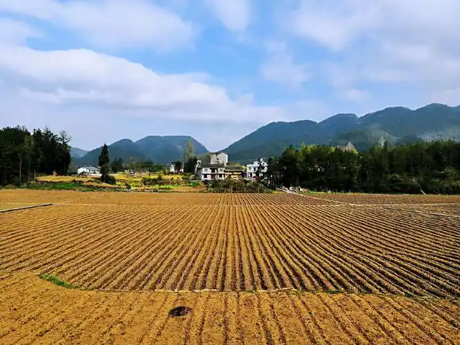 我在山里,与春同行