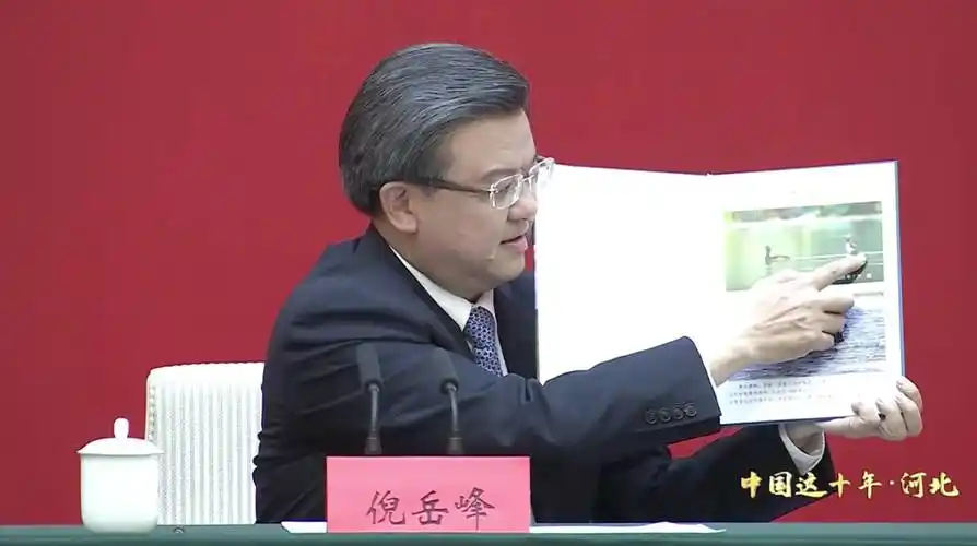 青头潜鸭邢台百泉沧州古井河北省委书记倪岳峰这样介绍美丽河北