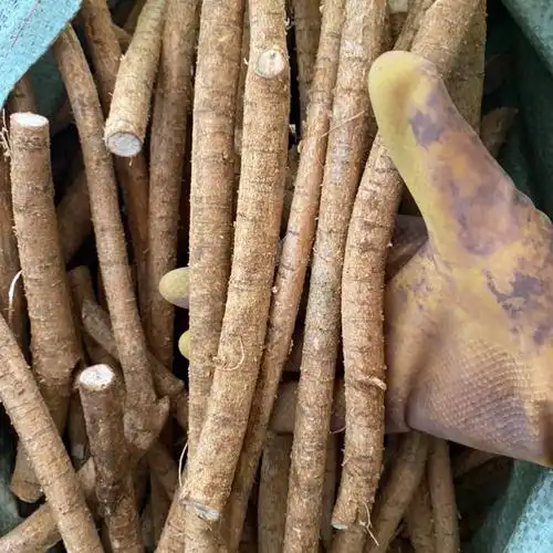 广东省包邮新鲜黄皮牛大力牛根规格齐全质量新鲜