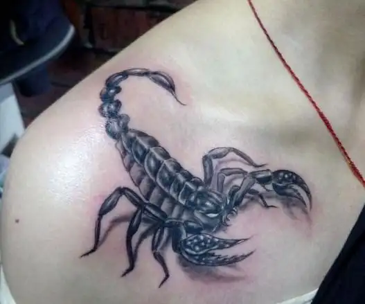 不同部位的蝎子纹身图案大全