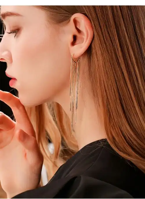 dayilai韩国气质高级感轻奢显脸瘦大气耳环女耳线网红夏季款长款流苏
