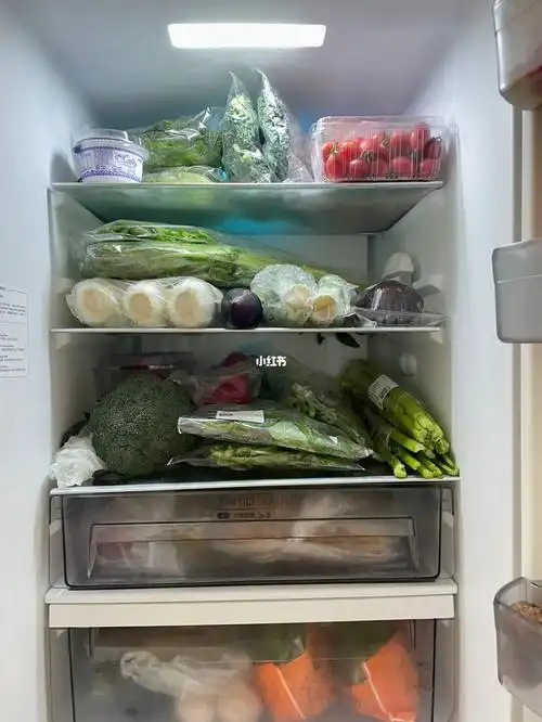 冰箱里面有什么04