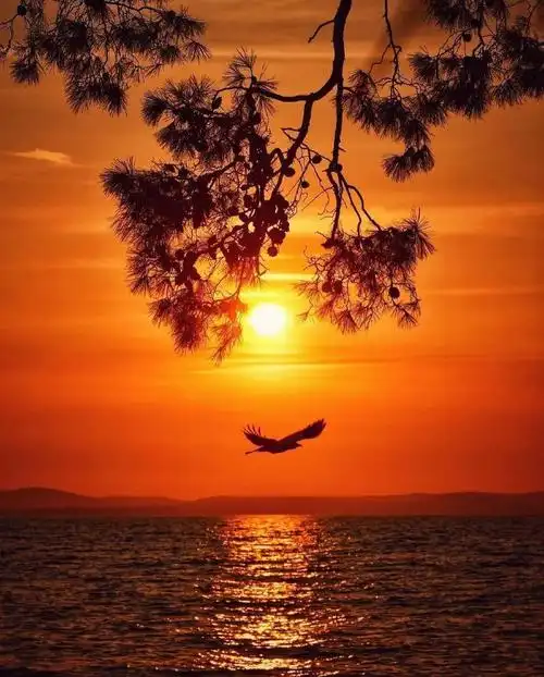 山河远阔,人间烟火,都不及这一刻唯美的落日黄昏火烧云和恰好的微风.