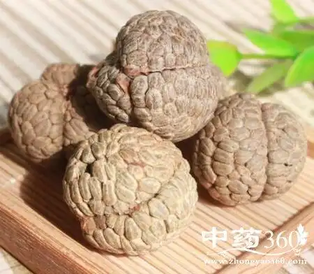 galangal seed【拉丁名】semen alpiniae【别名】豆蔻,漏蔻,草果,草蔻