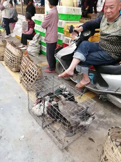 罗平圩市场物价