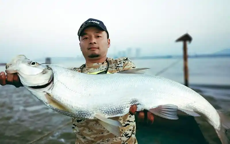 路亚长江行米级翘嘴下