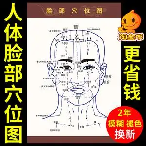 90奇印派旗舰店天猫头面部经络穴位图中医中药养生馆经脉走向按摩图