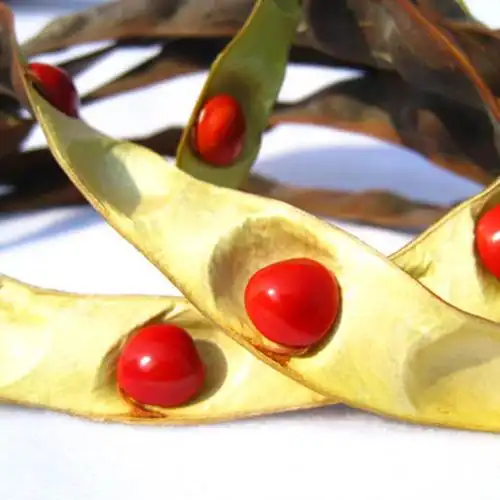 onevan红豆菩提子相思豆108颗 手串项链玲珑骰子安红豆情人节礼物 (横