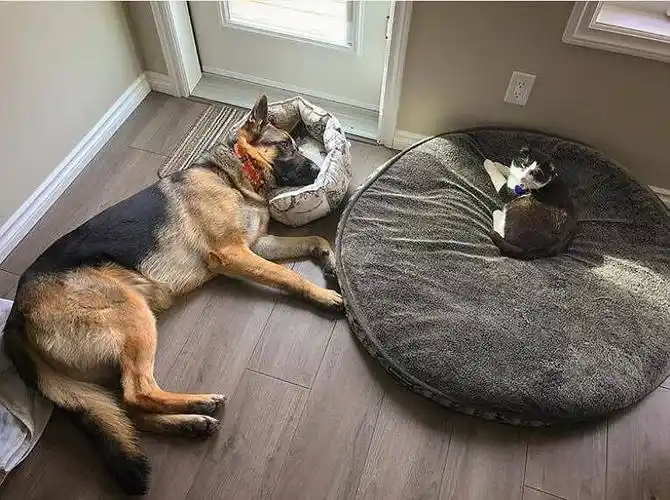 哈哈哈哈哈哈哈家庭地位一目了然