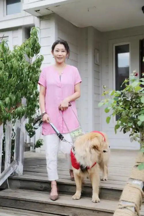 北方联合影视集团有限公司承制,演员李翠翠友情出演的一部以导盲犬为