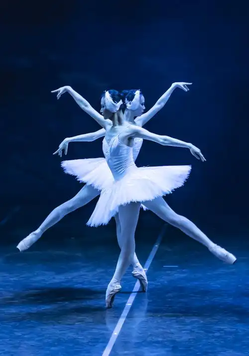 2020年6月13日和14日为上海芭蕾舞团经典芭蕾舞剧《天鹅湖》拍摄,特写