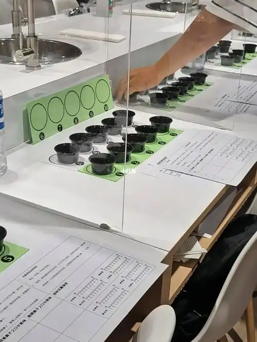 茶叶感官品评中级