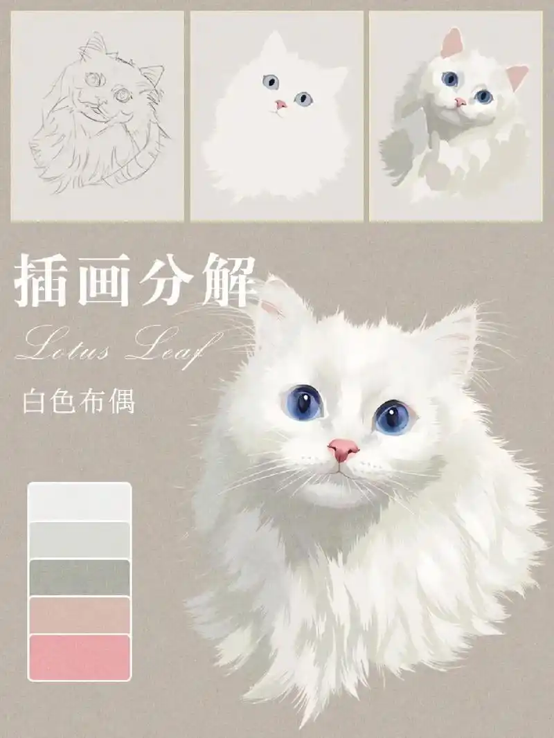 教你画超可爱布偶猫!#画画#零基础学画画 #插画#绘画#pr - 抖音